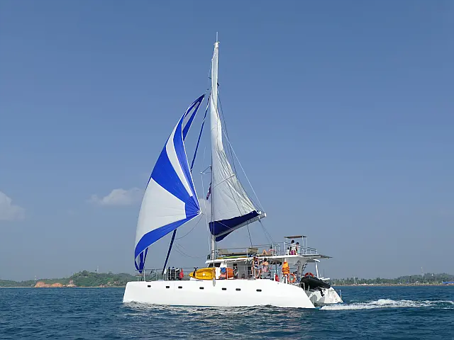 Catamaran (ID=11221)