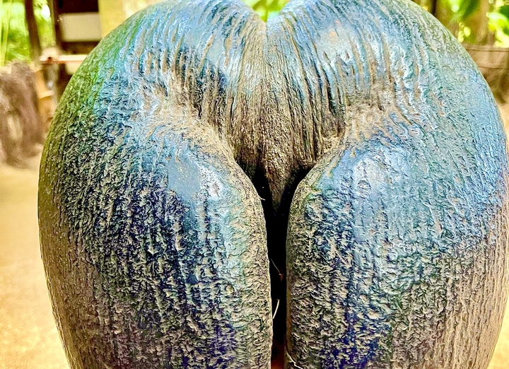 Фото 1 из 1