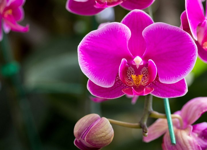 Фото 2 из 6