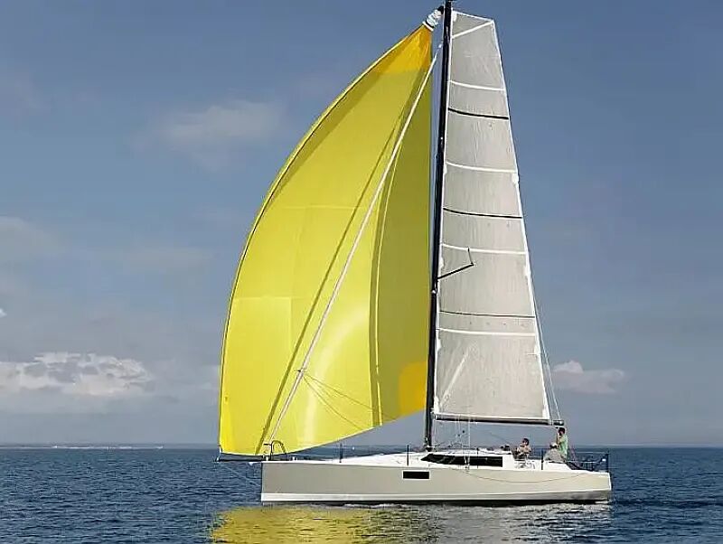 Pogo 36 (ID=10173)