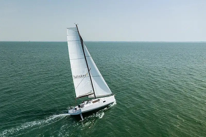 Pogo 36 (ID=10213) - фото 7