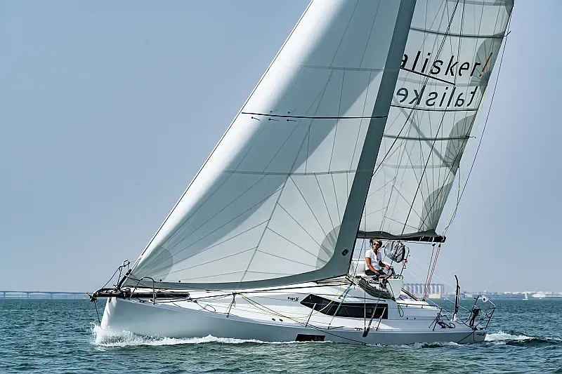 Pogo 36 (ID=10213) - фото 9