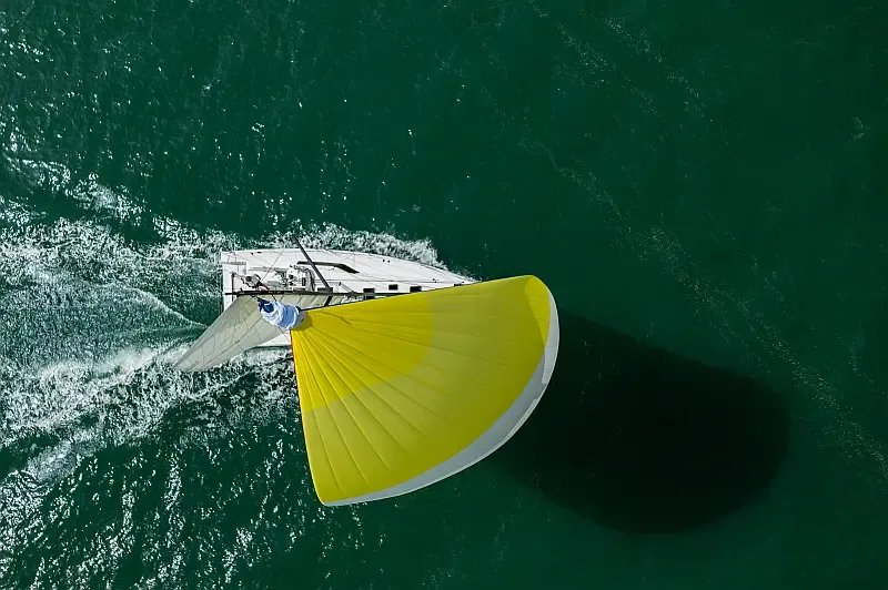 Pogo 36 (ID=10213) - фото 19