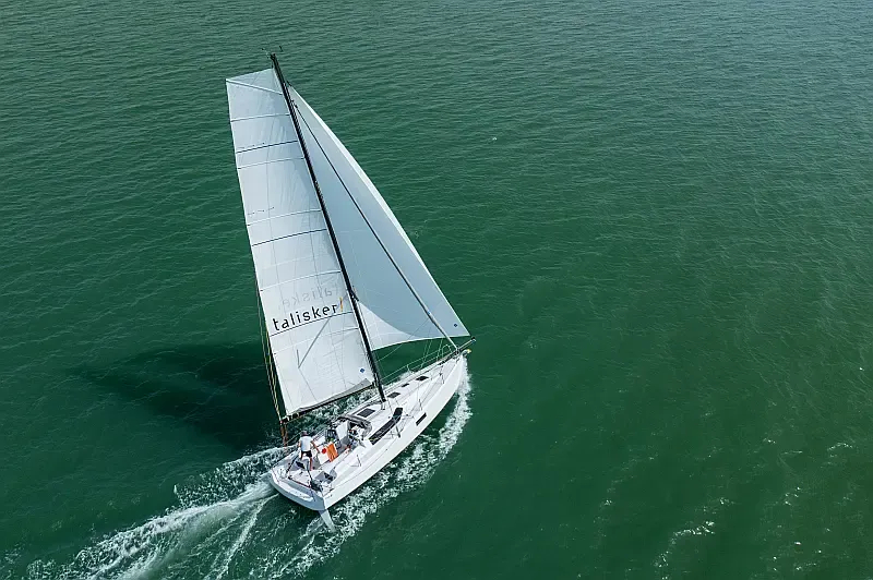 Pogo 36 (ID=10213) - фото 4