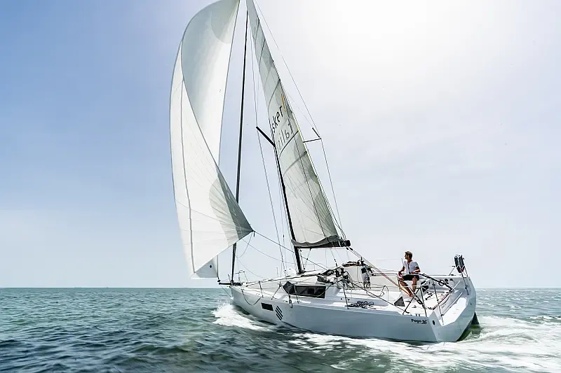 Pogo 36 (ID=10213) - фото 8