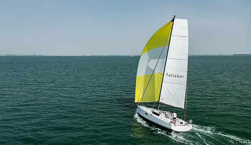 Pogo 36 (ID=10213) - фото 20