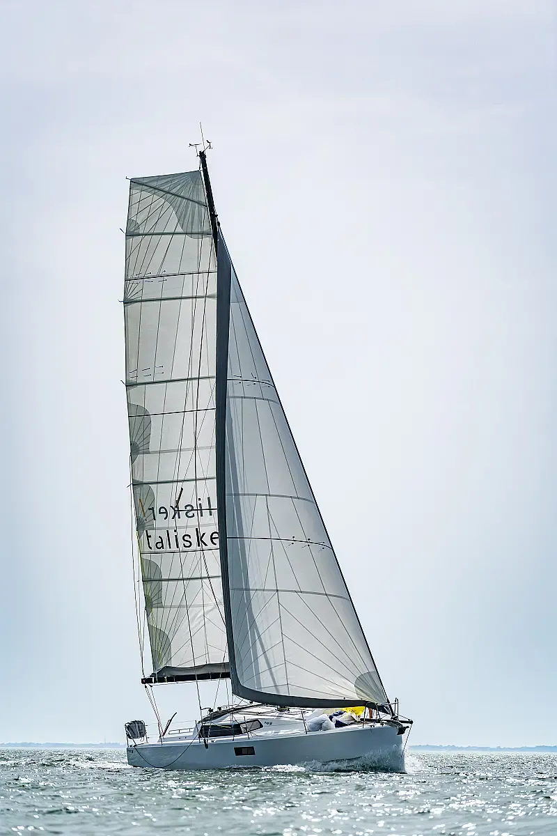 Pogo 36 (ID=10213) - фото 12