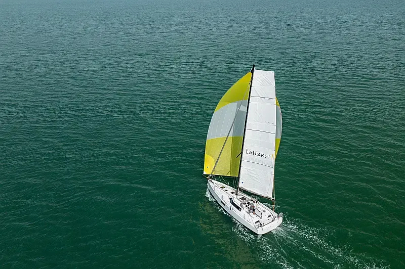 Pogo 36 (ID=10213) - фото 17