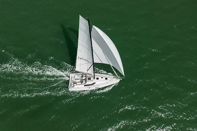 Pogo 36 (ID=10213) - фото 6