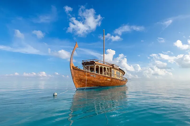Wooden motor yacht (ID=10215)
