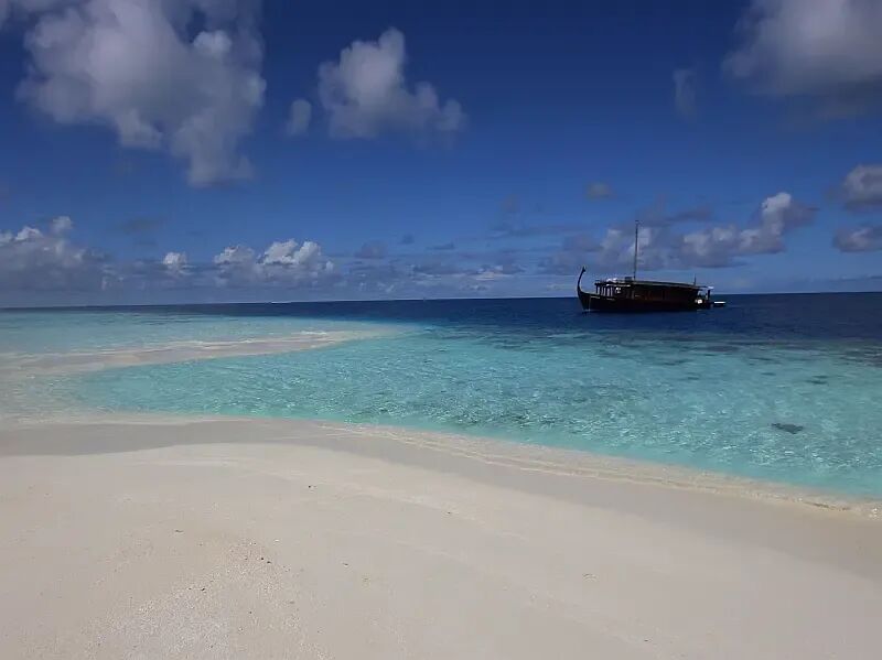 Wooden motor yacht (ID=10215) - фото 13