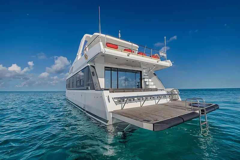 Power Catamaran (ID=10230) - фото 17