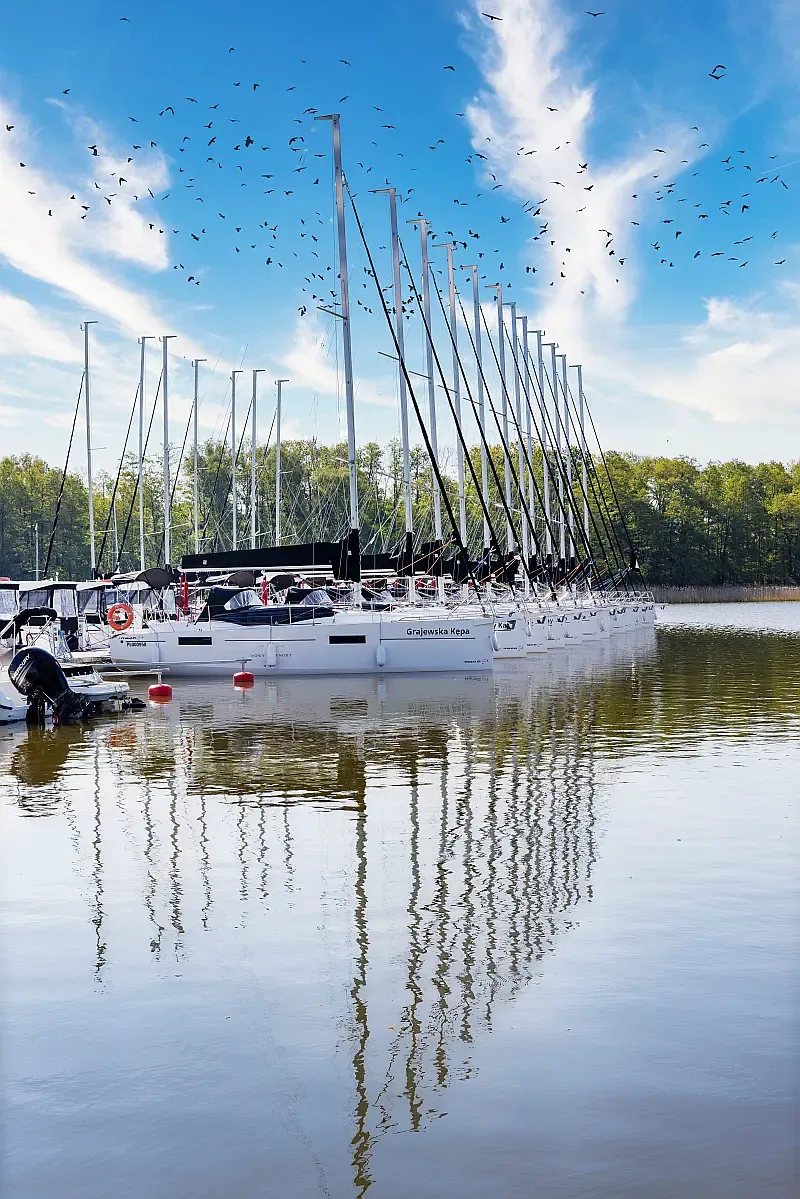 Maxus 34 (ID=10295) - фото 9