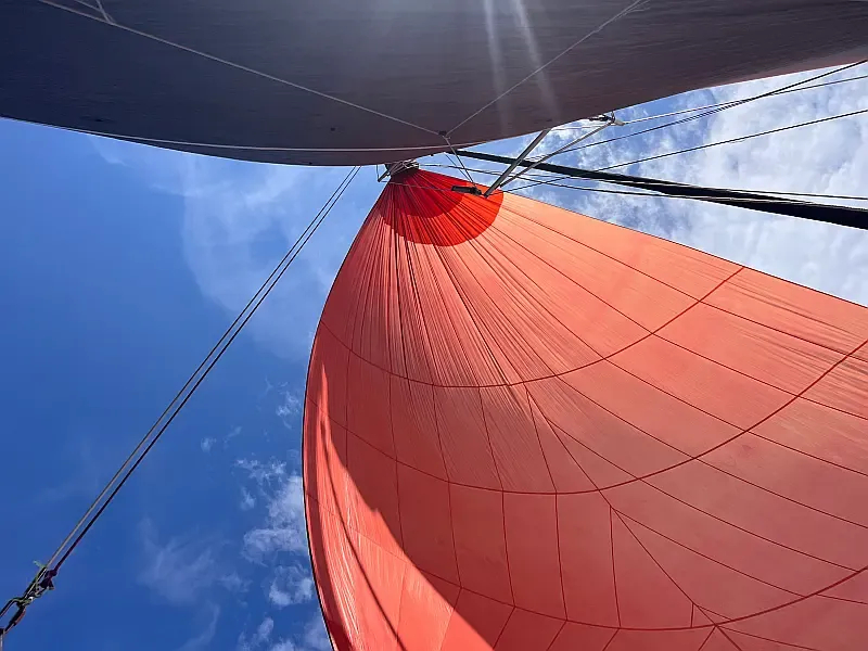 Trimaran (ID=11137) - фото 38