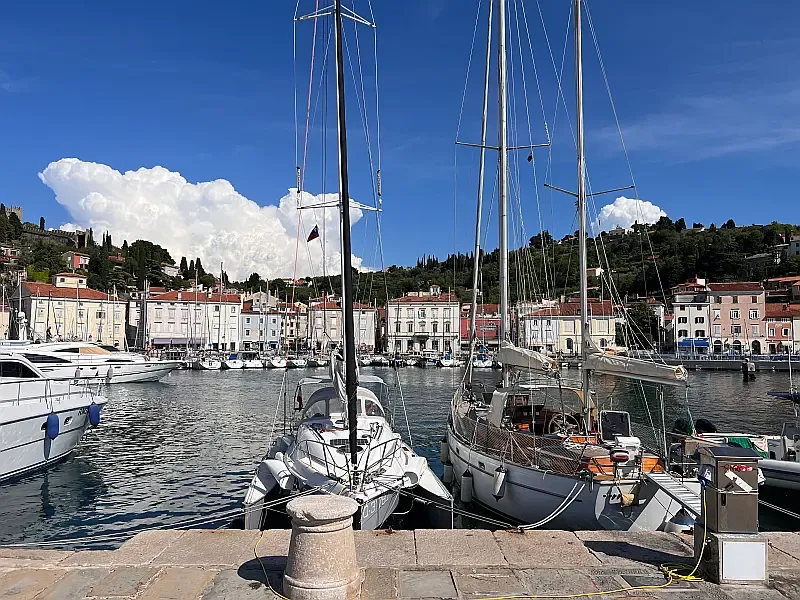 Trimaran (ID=11137) - фото 27