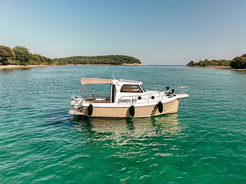 Leidi 660 (ID=11160) - фото 15