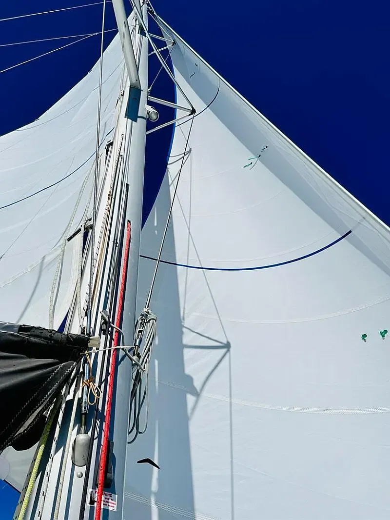 Lagoon 450 Sport (ID=1121) - фото 11