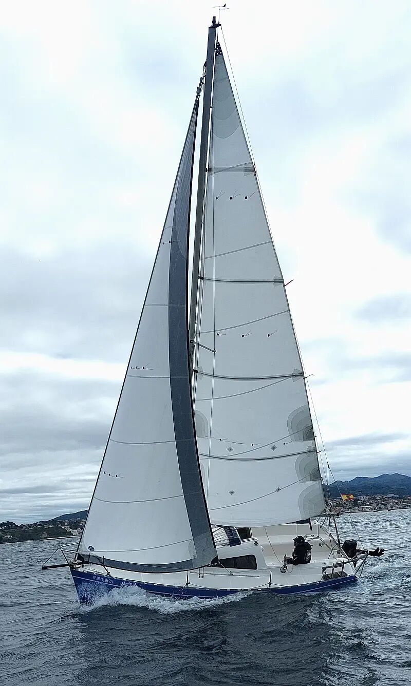 Yatlant 24 (ID=11865) - фото 13