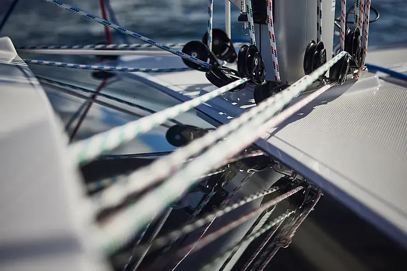 Maxus 35 (ID=11945) - фото 23