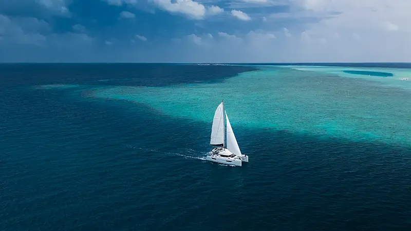 Lagoon 40 (ID=11947) - фото 4