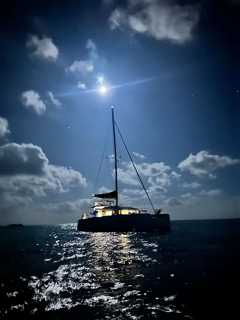 Lagoon 40 (ID=11947) - фото 11