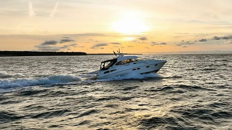 Sealine C390 (ID=12039) - фото 7