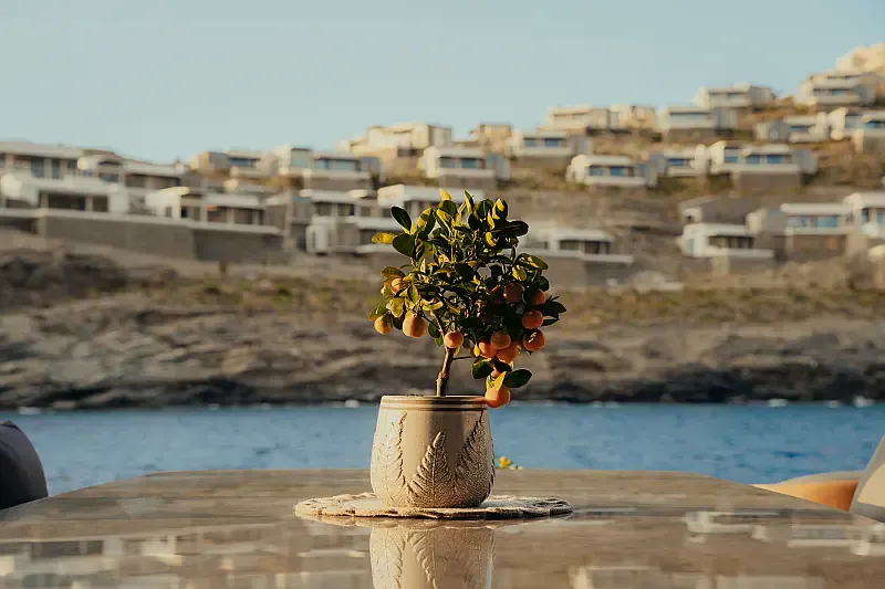 Moon Yacht 65 (ID=12535) - фото 54