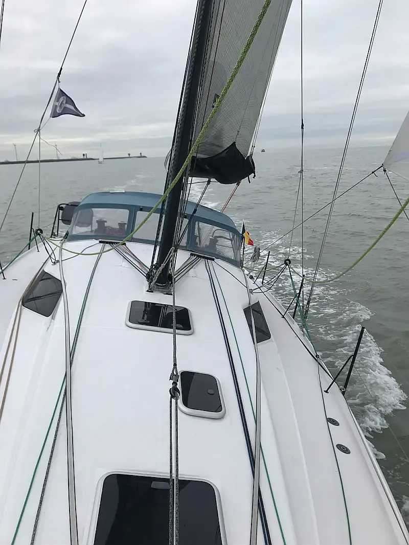 Pogo 36 (ID=12621) - фото 6