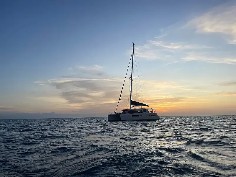 Leopard 48 (ID=12736) - фото 10