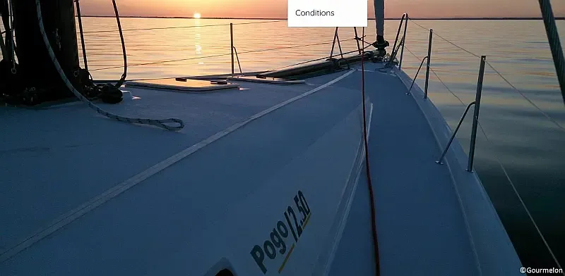 Pogo 12.5 (ID=13122) - фото 15