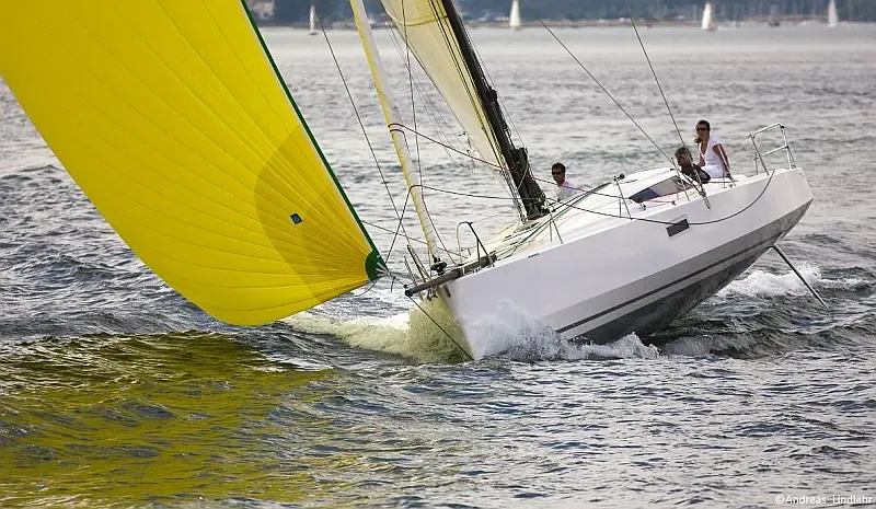 Pogo 12.5 (ID=13122) - фото 19