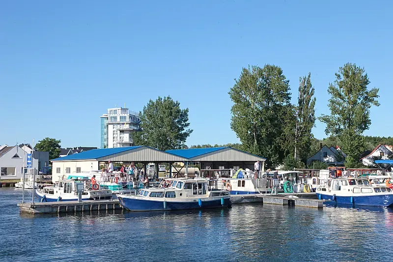 Tjonger (ID=13245) - фото 8