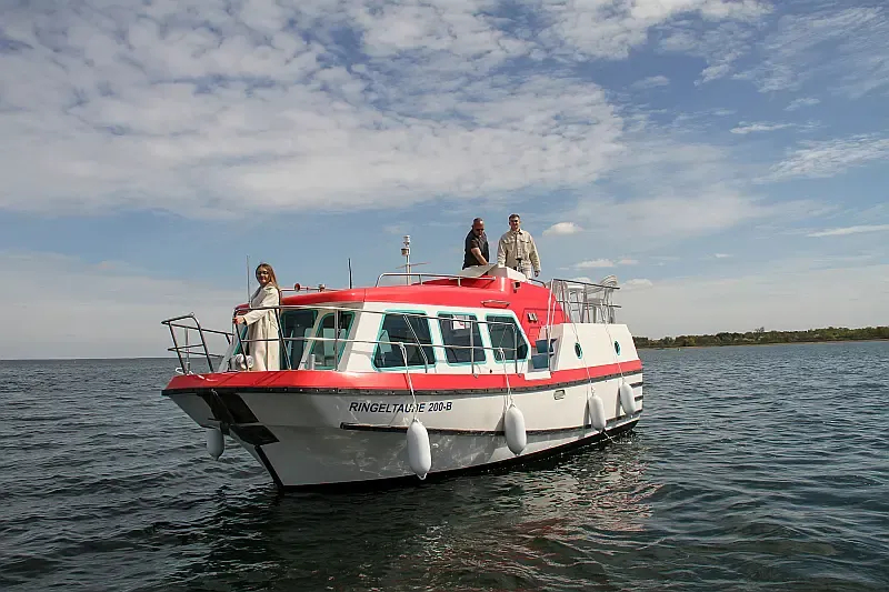 Pirate 915 (ID=13255) - фото 8