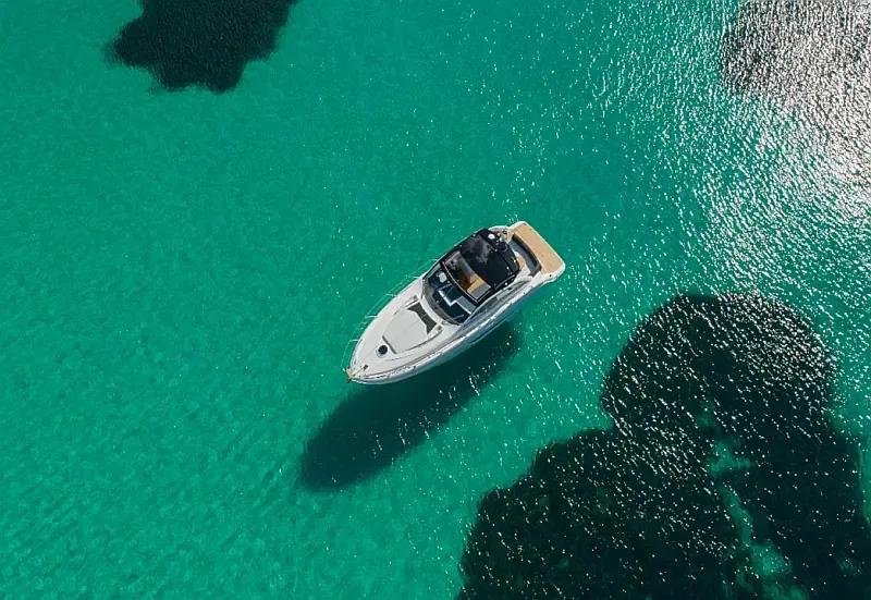 Sessa C38 (ID=13724) - фото 5