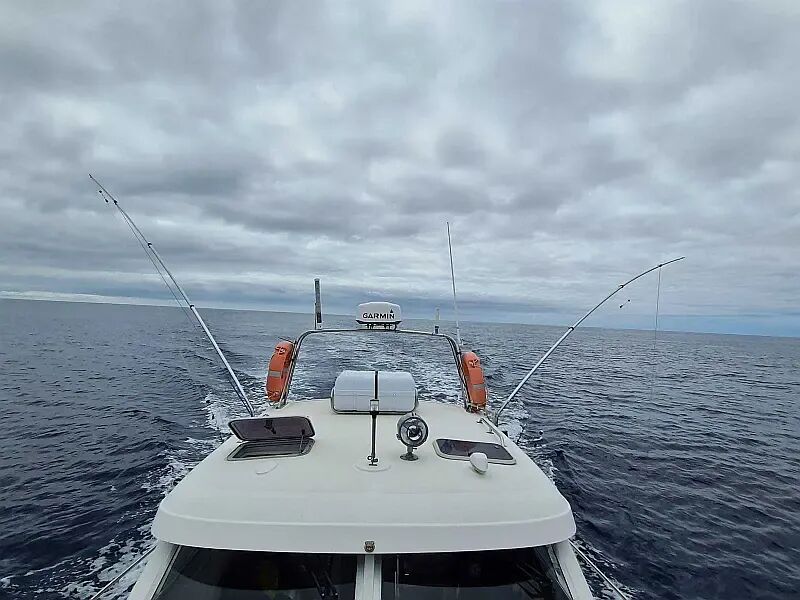 Rodman 900 Fly (ID=13749) - фото 7