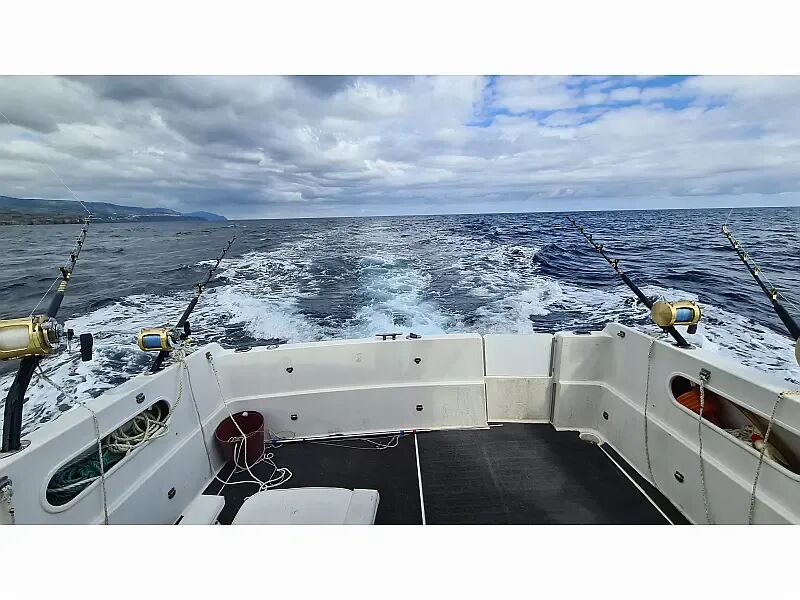 Rodman 900 Fly (ID=13749) - фото 3