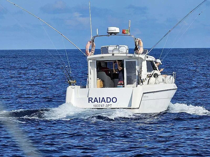 Rodman 900 Fly (ID=13749) - фото 6