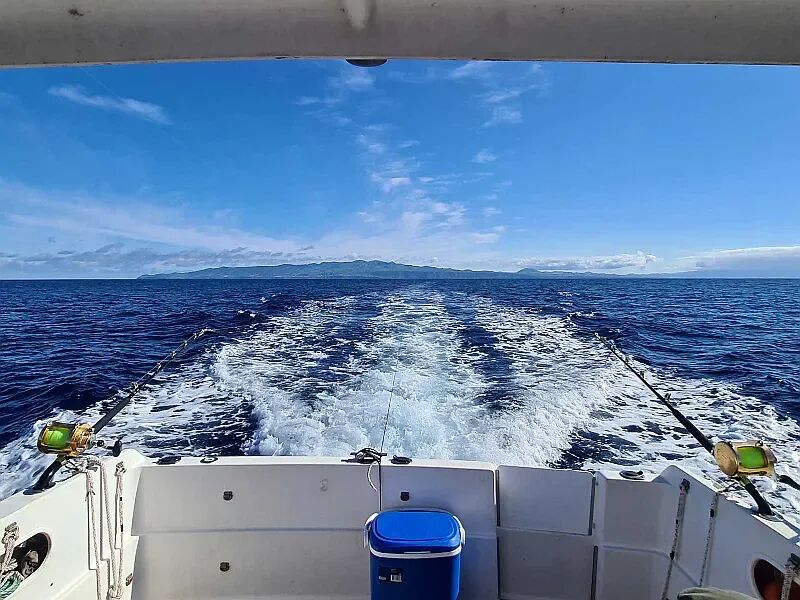 Rodman 900 Fly (ID=13749) - фото 4