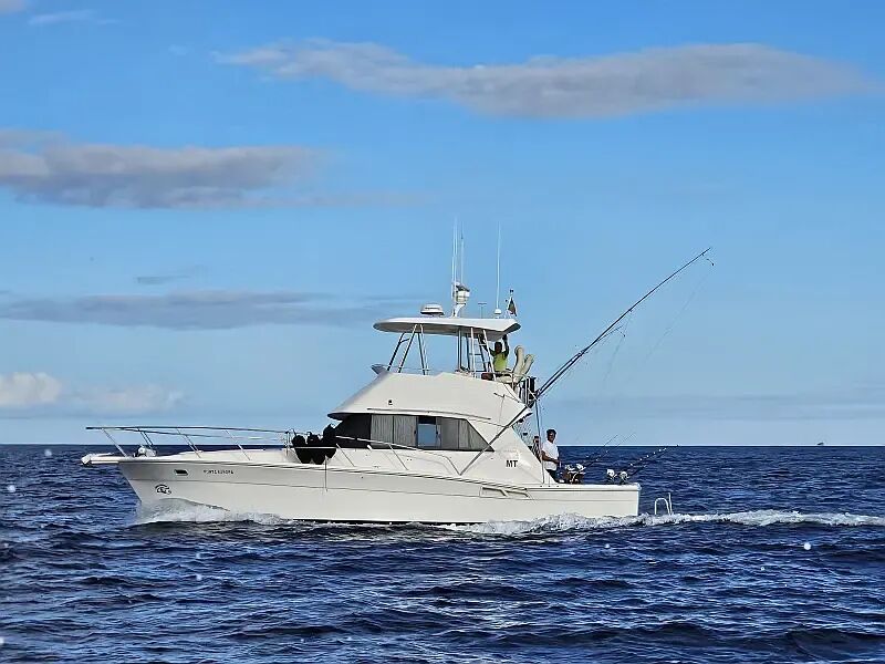Riviera 39 Flybridge (ID=13758) - фото 5