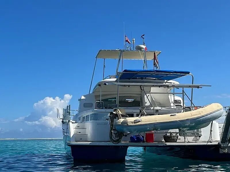 Lagoon Power 43 (ID=13771) - фото 4