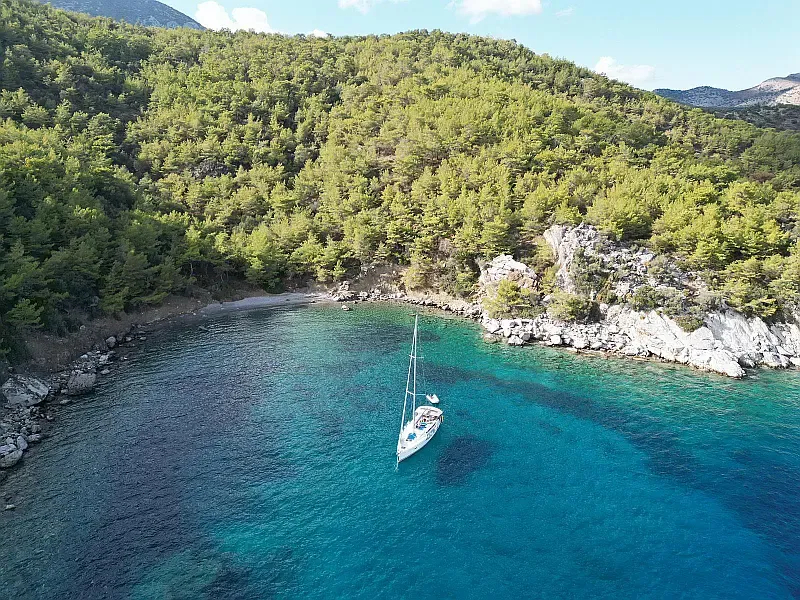 Sun Odyssey 509 (ID=13894) - фото 14