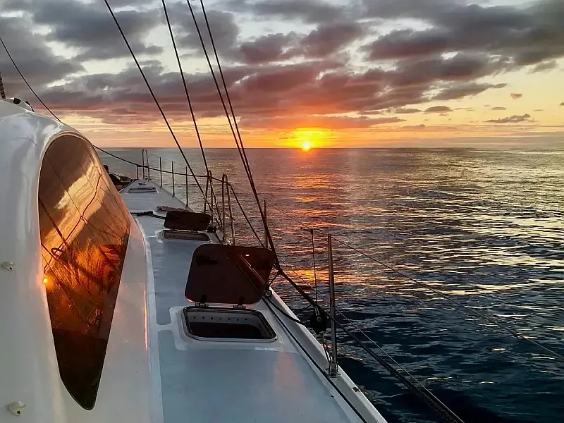 DH 550 (ID=13935) - фото 5