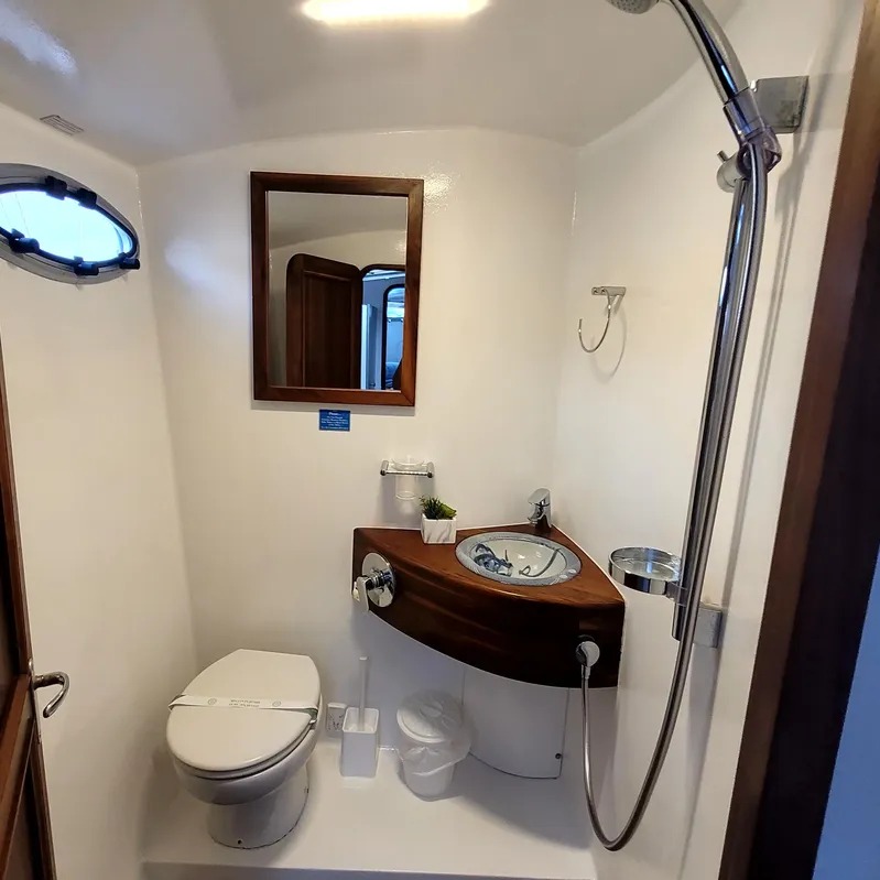 DH 550 (ID=13935) - фото 33