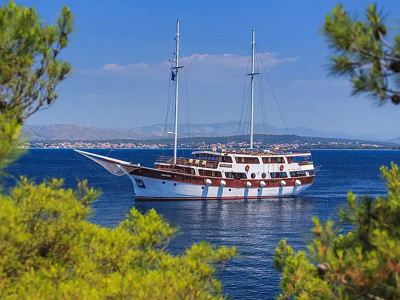 Motor sailer (ID=14209)