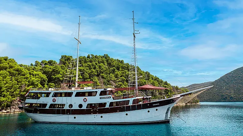 Motor sailer (ID=14209) - фото 8