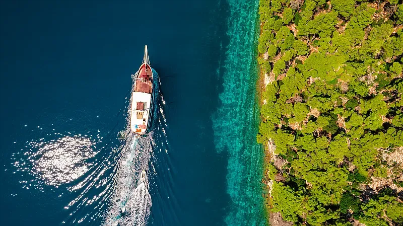 Motor sailer (ID=14209) - фото 4