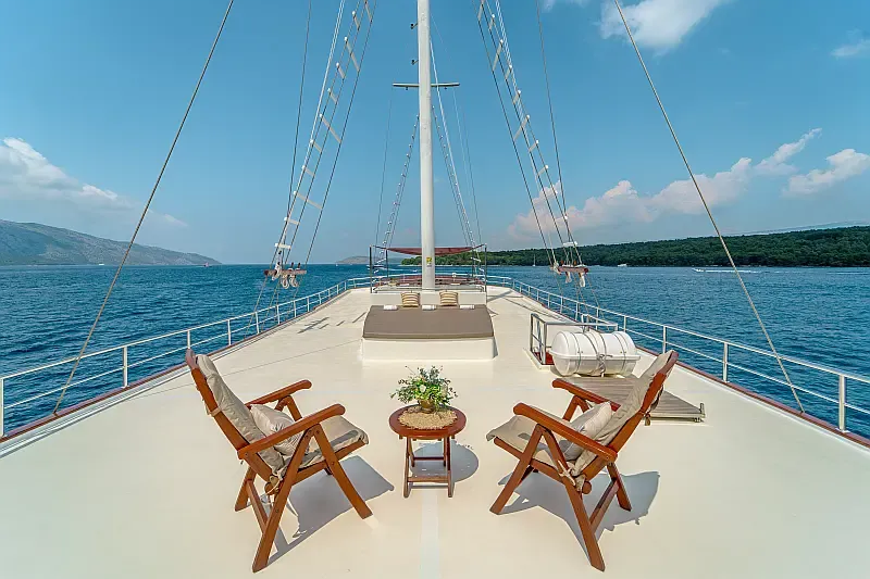 Motor sailer (ID=14209) - фото 11