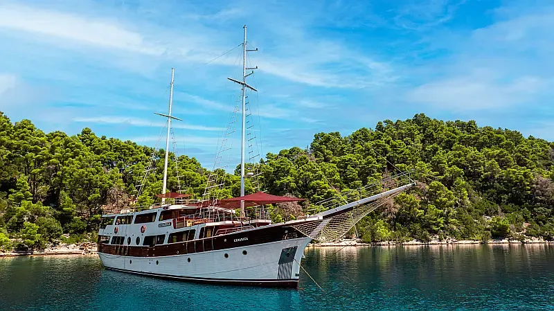 Motor sailer (ID=14209) - фото 7