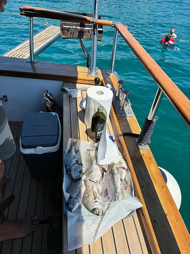 Sail boat (ID=14236) - фото 18
