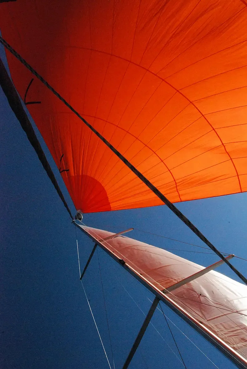 Hanse 508 (ID=1431) - фото 9